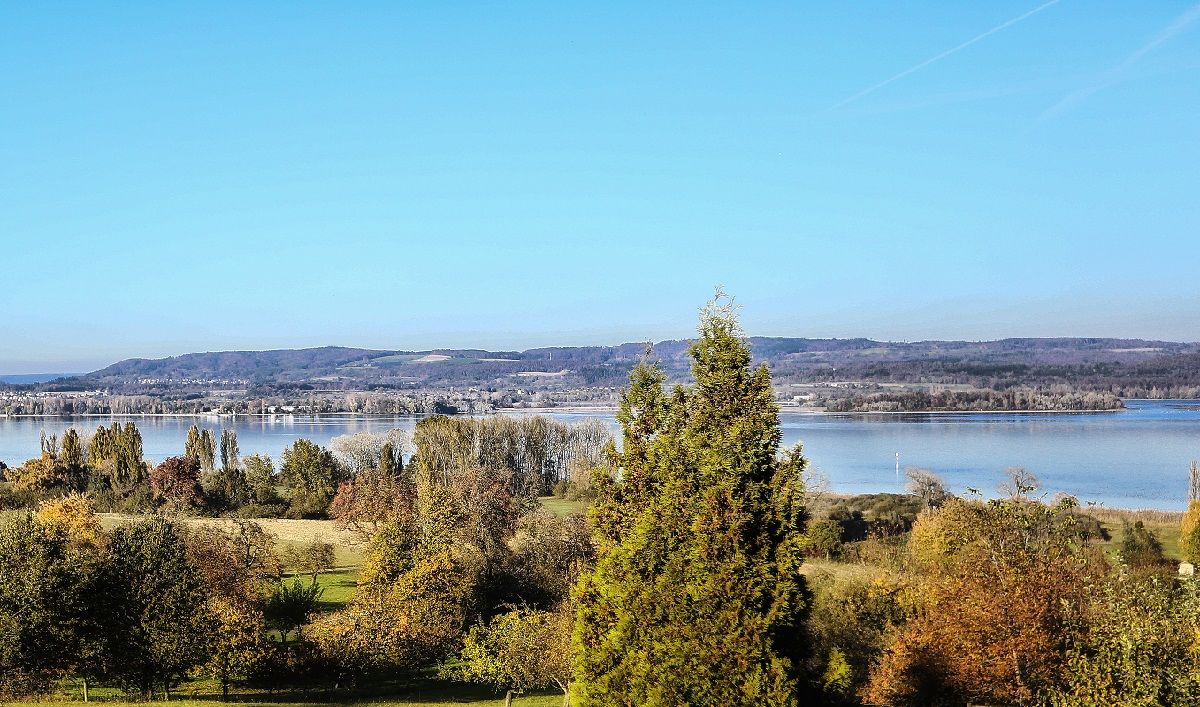 Herbstbild Ausblick Hotel Hirschen Gaienhofen